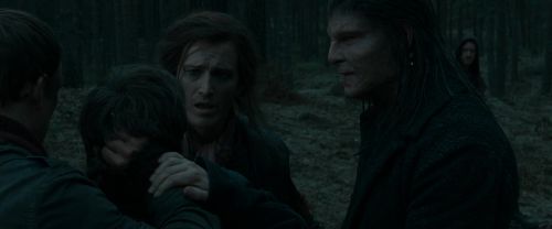 RdM1-Potterish12332.jpg