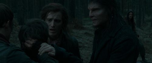 RdM1-Potterish12333.jpg