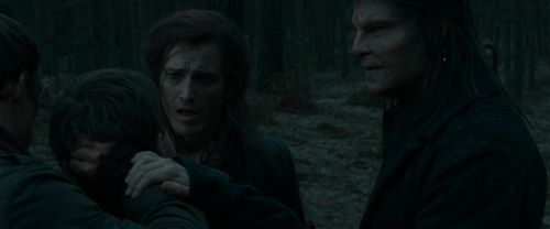 RdM1-Potterish12335.jpg