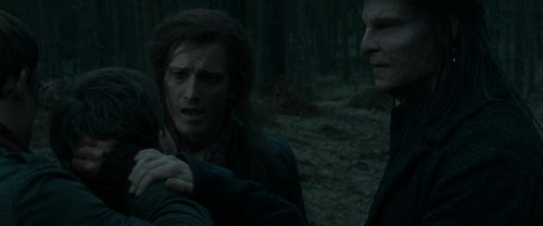 RdM1-Potterish12336.jpg