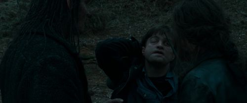 RdM1-Potterish12338.jpg
