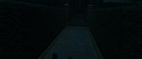 RdM1-Potterish12386.jpg