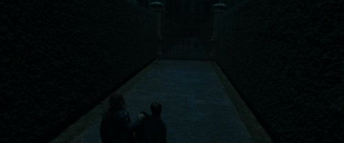 Click to view full size image
==============
RdM1-Potterish12388.jpg RdM1-Potterish12388.jpg