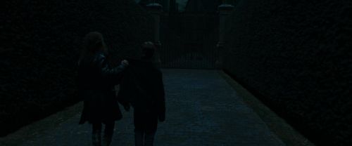 RdM1-Potterish12391.jpg