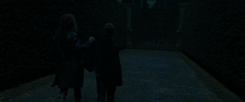 RdM1-Potterish12394.jpg