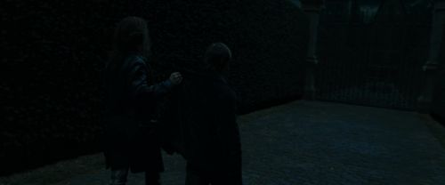 RdM1-Potterish12396.jpg