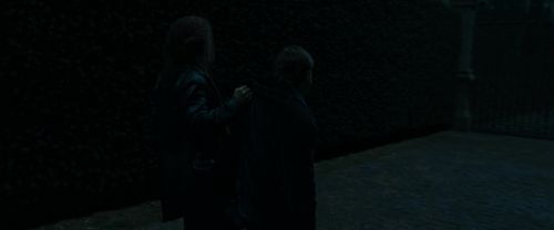 RdM1-Potterish12397.jpg