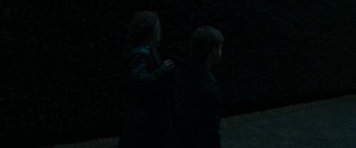RdM1-Potterish12398.jpg