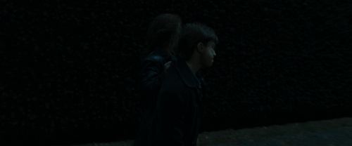 RdM1-Potterish12399.jpg