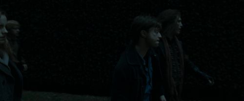 RdM1-Potterish12401.jpg