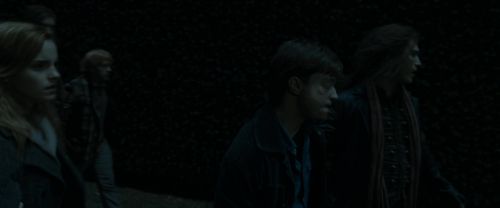 RdM1-Potterish12402.jpg