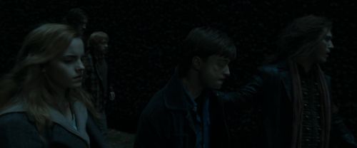 RdM1-Potterish12403.jpg