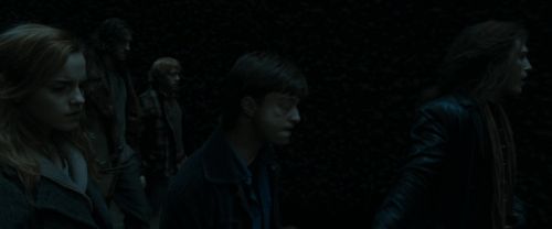 RdM1-Potterish12404.jpg