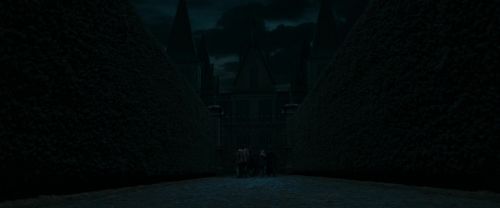 RdM1-Potterish12406.jpg