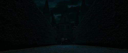RdM1-Potterish12408.jpg