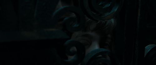 RdM1-Potterish12417.jpg