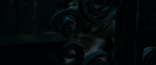 RdM1-Potterish12426.jpg