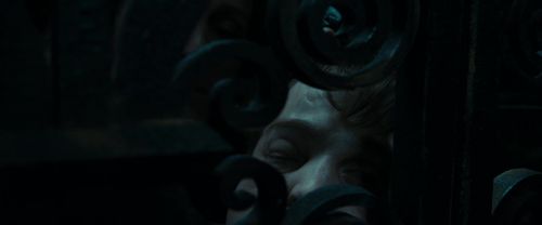 RdM1-Potterish12431.jpg