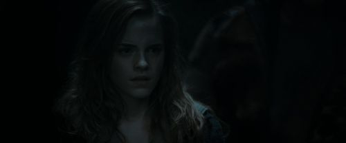 RdM1-Potterish12434.jpg
