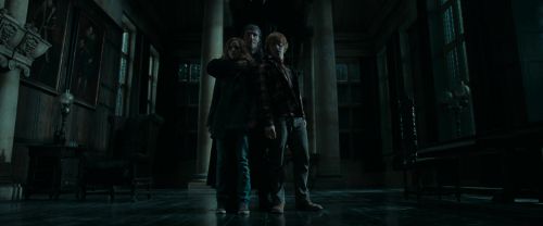 RdM1-Potterish12541.jpg