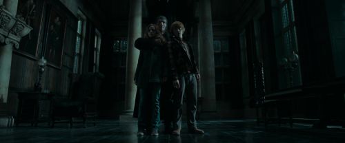 RdM1-Potterish12542.jpg