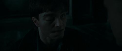 RdM1-Potterish12551.jpg