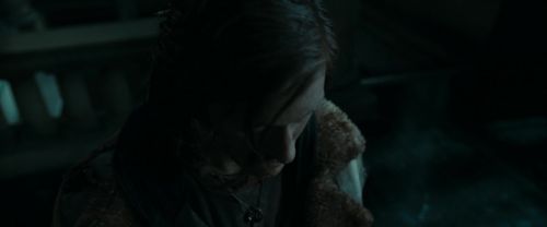 RdM1-Potterish12570.jpg