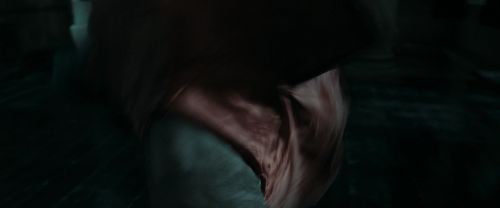 RdM1-Potterish12595.jpg