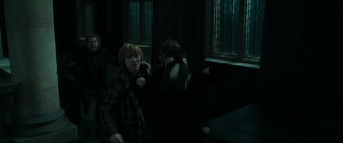 RdM1-Potterish12629.jpg
