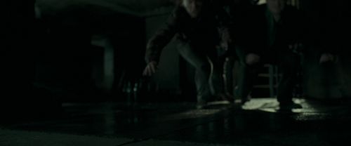 RdM1-Potterish12639.jpg