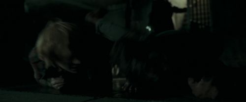 RdM1-Potterish12640.jpg