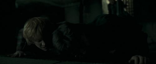 RdM1-Potterish12641.jpg