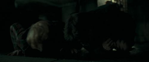 RdM1-Potterish12642.jpg