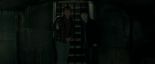 RdM1-Potterish12681.jpg