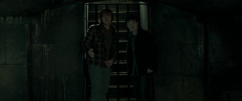 Click to view full size image
==============
RdM1-Potterish12682.jpg RdM1-Potterish12682.jpg
