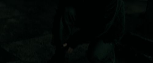 RdM1-Potterish12732.jpg