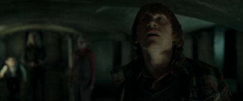 RdM1-Potterish12747.jpg