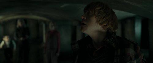 RdM1-Potterish12748.jpg