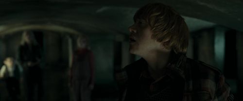 RdM1-Potterish12749.jpg