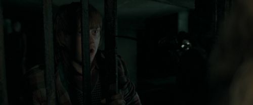 RdM1-Potterish12769.jpg
