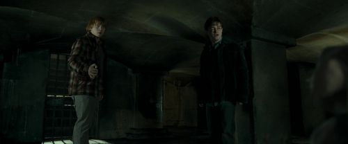 RdM1-Potterish12817.jpg