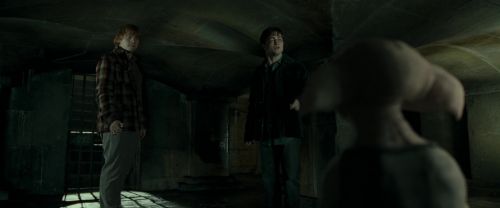 RdM1-Potterish12846.jpg