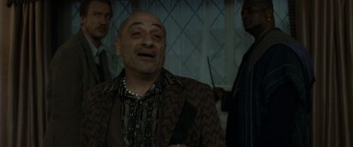 RdM1-Potterish1287.jpg