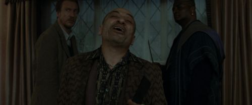 RdM1-Potterish1288.jpg