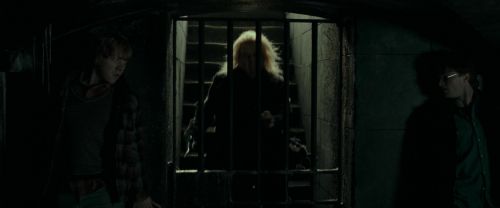 RdM1-Potterish12885.jpg