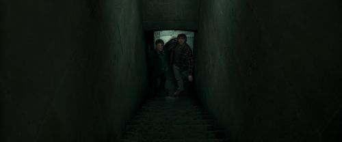 RdM1-Potterish12905.jpg