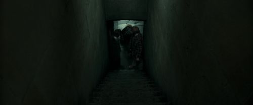 RdM1-Potterish12913.jpg