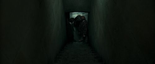 RdM1-Potterish12914.jpg