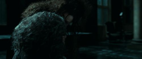 RdM1-Potterish12939.jpg