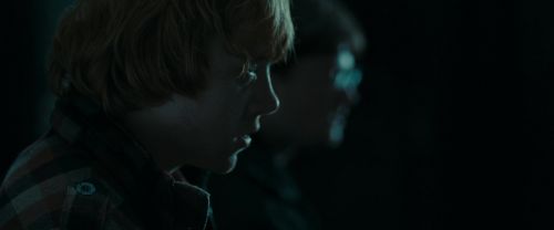 RdM1-Potterish13033.jpg